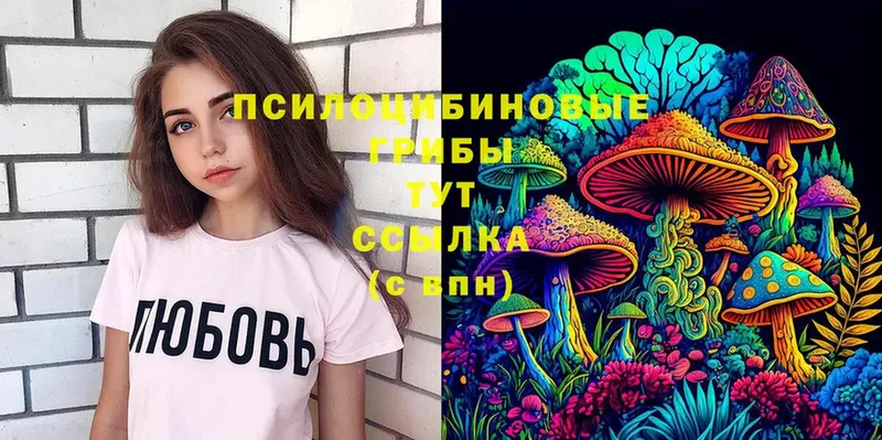 Псилоцибиновые грибы MAGIC MUSHROOMS  Тында 